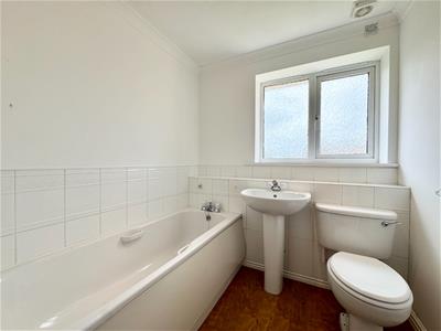 Picture 19